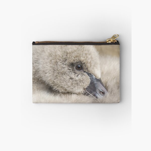 Item preview, Black Swan Cygnet designed and sold by rawshutterbug.