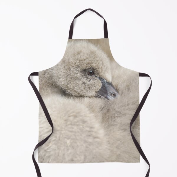Item preview, Black Swan Cygnet designed and sold by rawshutterbug.