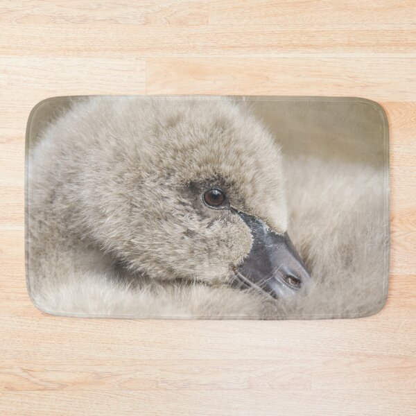 Item preview, Black Swan Cygnet designed and sold by rawshutterbug.