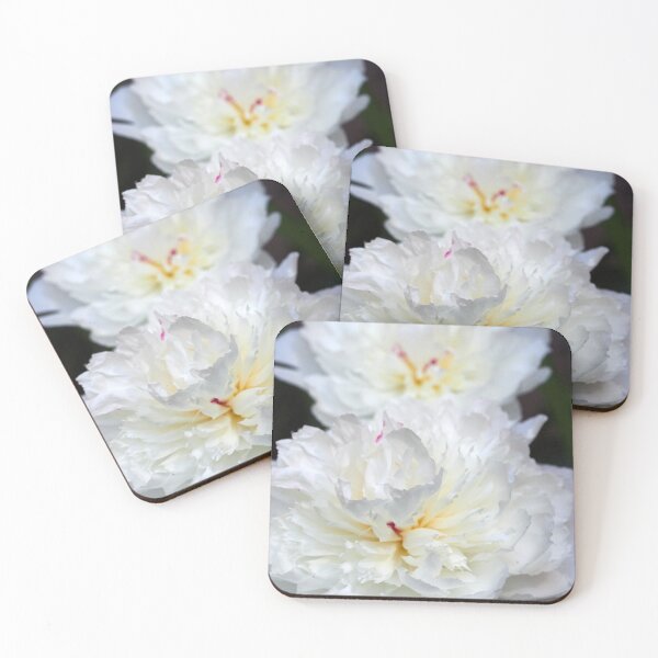 Item preview, White Peony  flowers duo designed and sold by Jouko Lehto Photography.