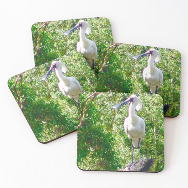 Item preview, The Royal Spoonbill Stork! designed and sold by Mickangelhere.