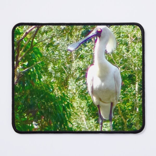 Item preview, The Royal Spoonbill Stork! designed and sold by Mickangelhere.