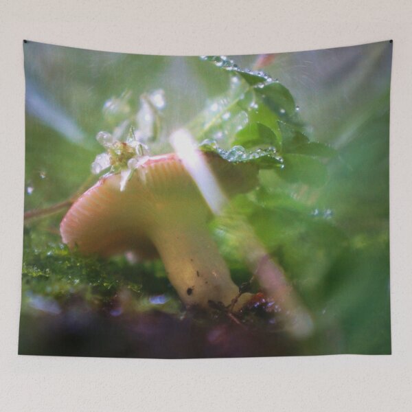 Item preview, Red Capped Mushroom in the Rain designed and sold by Nalinne Jones.
