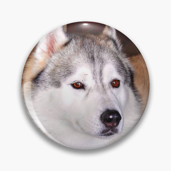 Item preview, Such A Poser designed and sold by eidann.