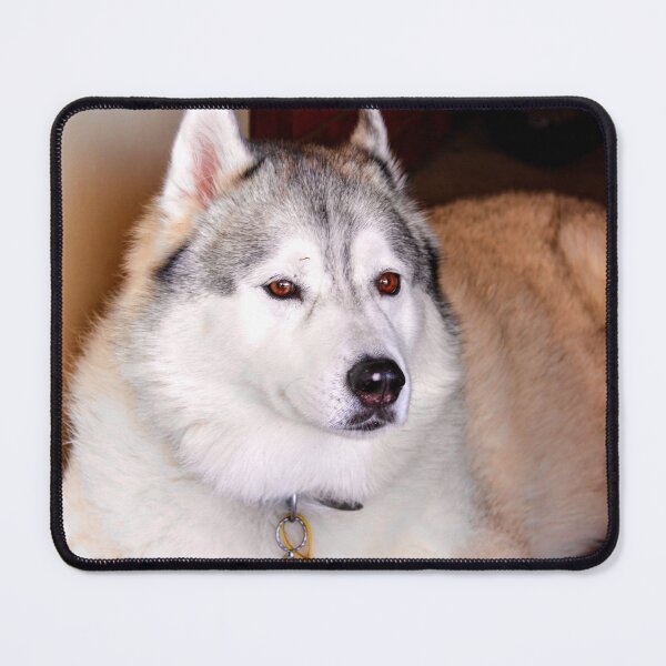 Item preview, Such A Poser designed and sold by eidann.