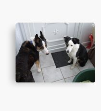 Is That Your Bed in The Corner Canvas Print