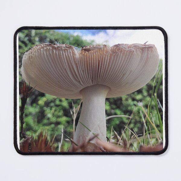 Item preview, "Mushroom confidence" designed and sold by J.  Loco Photography.