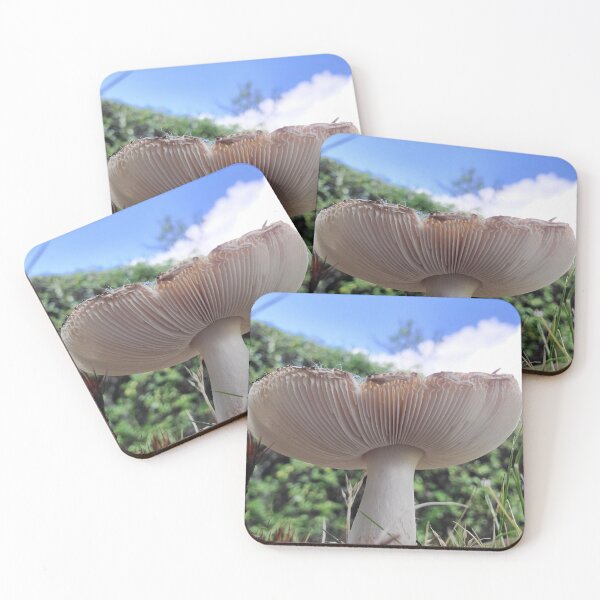 Item preview, "Mushroom confidence" designed and sold by J.  Loco Photography.