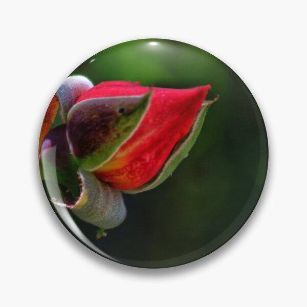 Item preview, Rose Bud designed and sold by Shilling Snaps.