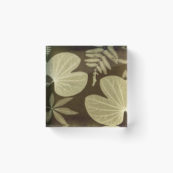 Item preview, Coffee Toned Botanical Cyanotype #001 designed and sold by Jak Bijaisoradat.