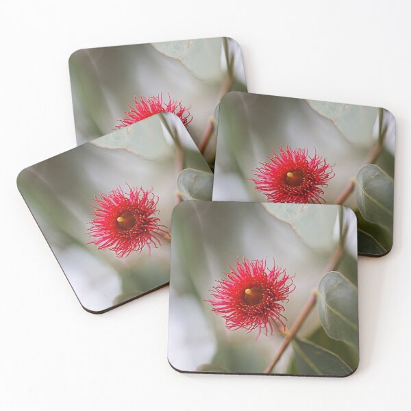 Item preview, Solo Red  Eucalyptus Flower designed and sold by Joy Watson - Natural Light Photography .
