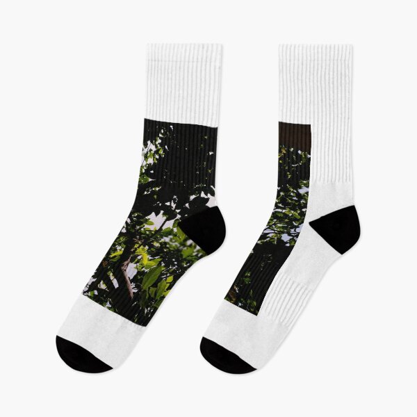 Item preview, Nature designed and sold by RadhaKrishna18.