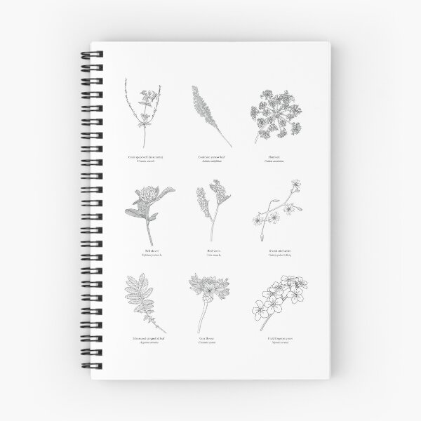 Item preview, Botanical cottagecore flower field with English and Latin names designed and sold by AnnaEleCreate.