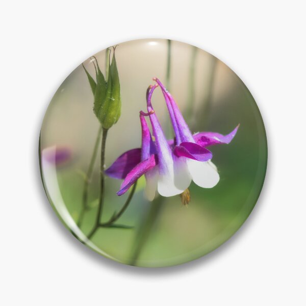 Item preview, Aquilegia Columbine designed and sold by Dorset Girl.