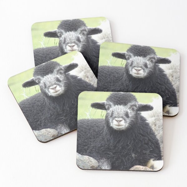 Item preview, Cordero Herdwick del Distrito de los Lagos designed and sold by Sticker-Lab.