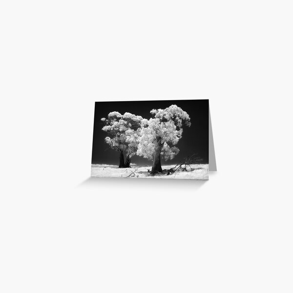038 Trees in IR Greeting Card