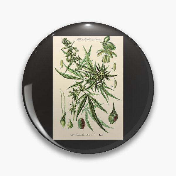 Item preview, Cannabis Sativa - Vintage botanical illustration designed and sold by hieberala.