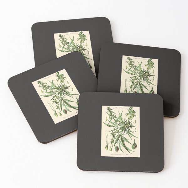 Item preview, Cannabis Sativa - Vintage botanical illustration designed and sold by hieberala.