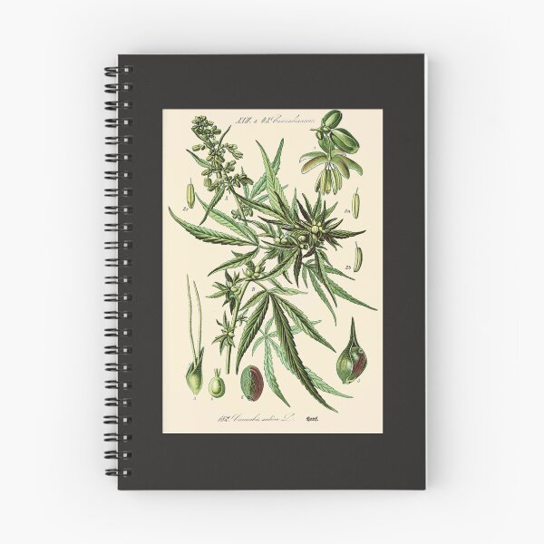Item preview, Cannabis Sativa - Vintage botanical illustration designed and sold by hieberala.
