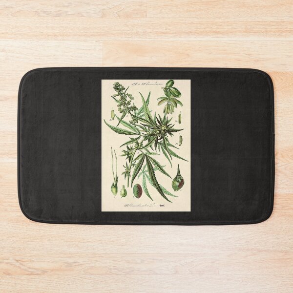 Item preview, Cannabis Sativa - Vintage botanical illustration designed and sold by hieberala.