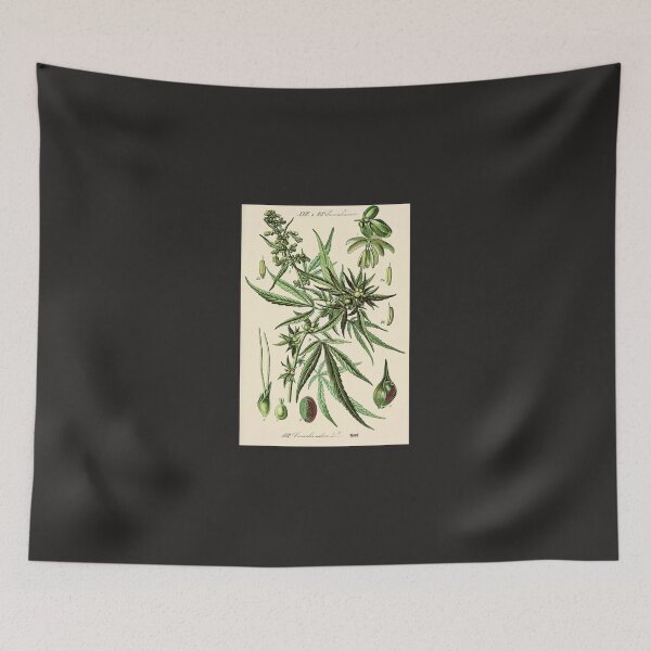 Item preview, Cannabis Sativa - Vintage botanical illustration designed and sold by hieberala.