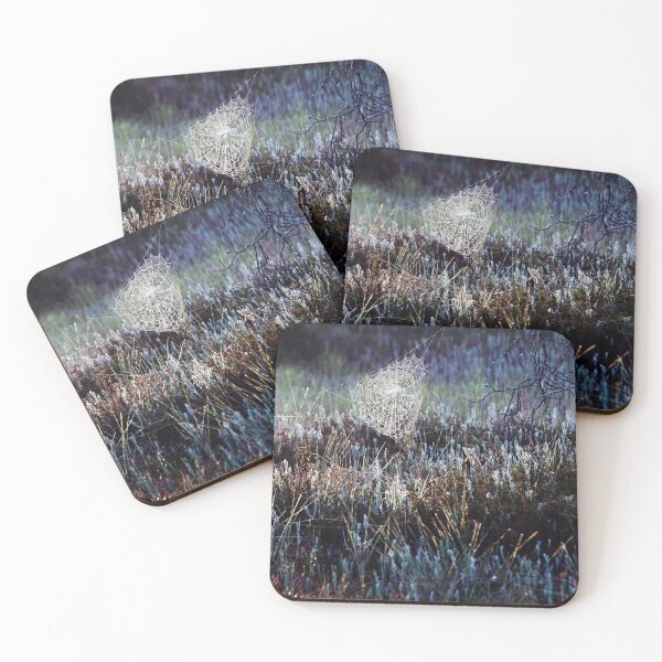 Item preview, 9.7.2022: Cobweb at Marsh designed and sold by Petri Volanen.
