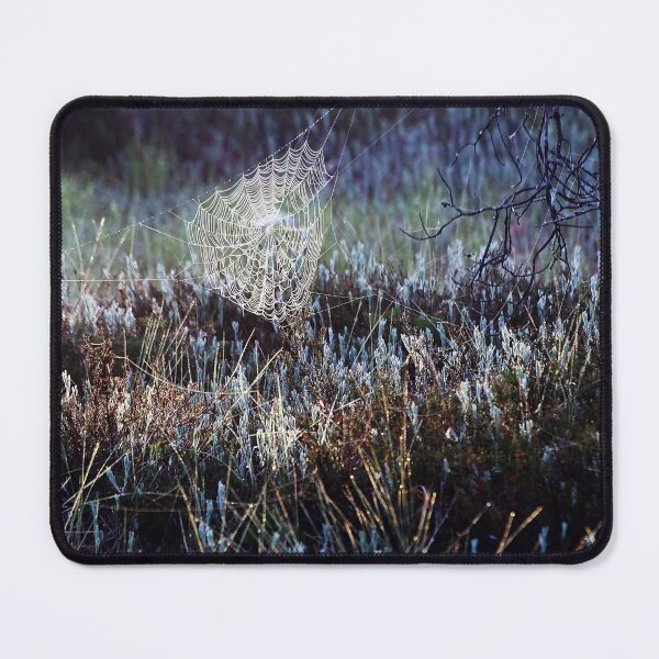 Item preview, 9.7.2022: Cobweb at Marsh designed and sold by Petri Volanen.