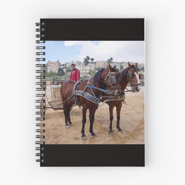 Item preview, Jordan - Jerash - horses and chariot designed and sold by renprovo.