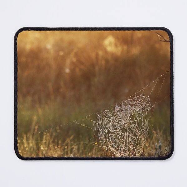 Item preview, 9.7.2022: Cobweb at Marsh designed and sold by Petri Volanen.
