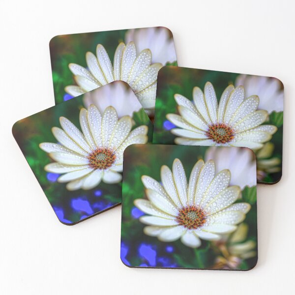 Item preview, Raindrops On A Daisy designed and sold by Paul Thompson Photography.