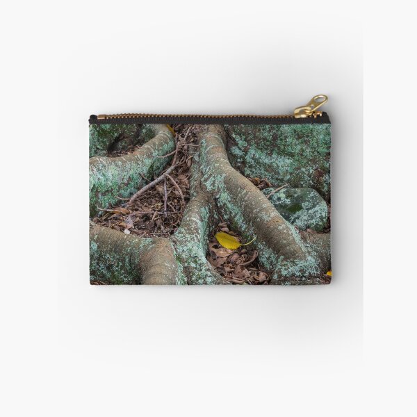 Item preview, Moreton Bay Fig designed and sold by Werner Padarin.