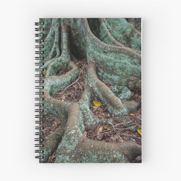 Item preview, Moreton Bay Fig designed and sold by Werner Padarin.