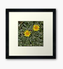 Flowers Framed Print
