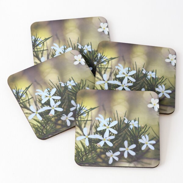 Item preview, Australian flora - Wedding Bush designed and sold by Cloudlingpics.
