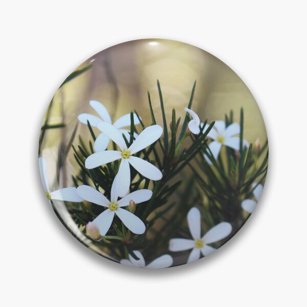 Item preview, Australian flora - Wedding Bush designed and sold by Cloudlingpics.
