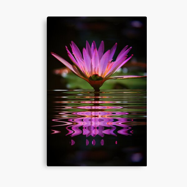 Purple Fantasy Canvas Print