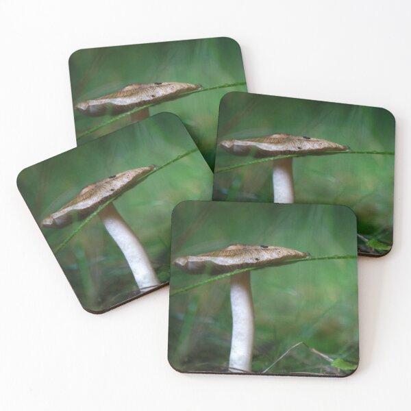 Item preview, Mushroom with a Blade of Grass designed and sold by Nalinne Jones.