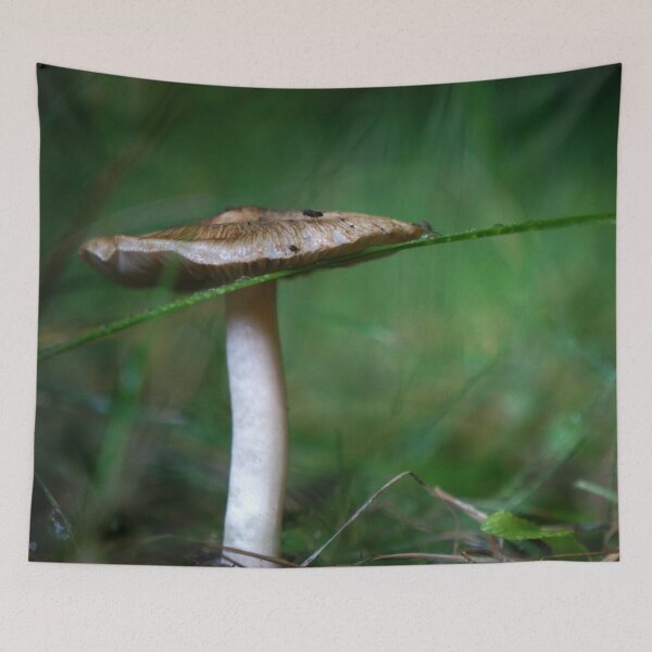 Item preview, Mushroom with a Blade of Grass designed and sold by Nalinne Jones.