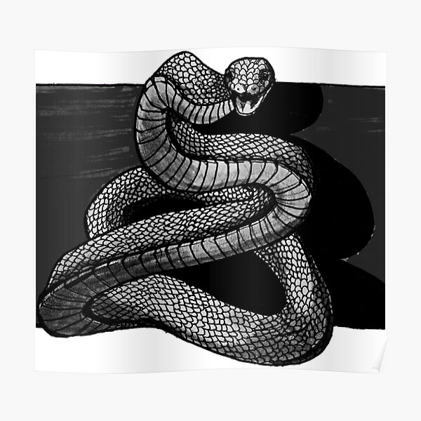 Snake Snake