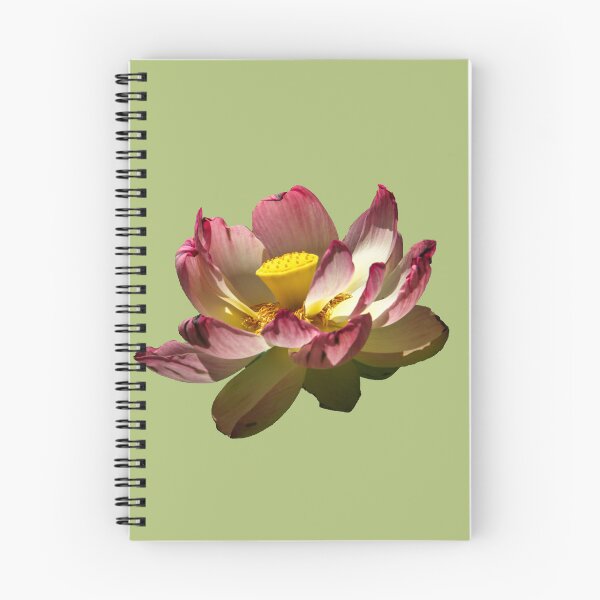 Item preview, Lotus in Pushkar Lake designed and sold by indiafrankk.