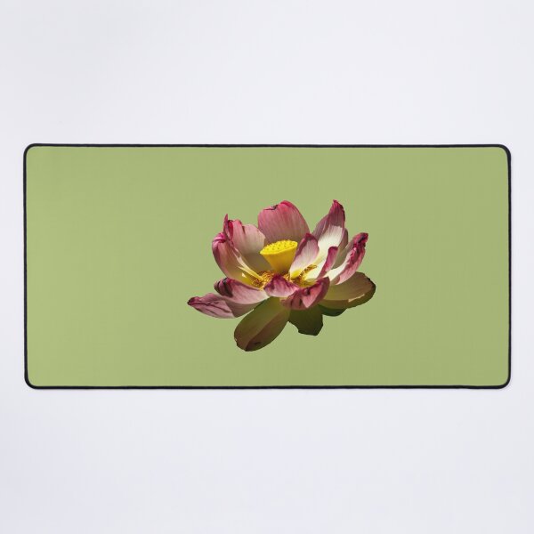 Item preview, Lotus in Pushkar Lake designed and sold by indiafrankk.