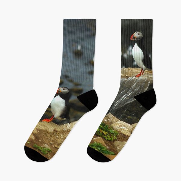 Item preview, Atlantic puffin (Fratercula arctica) designed and sold by Vidarleikur.