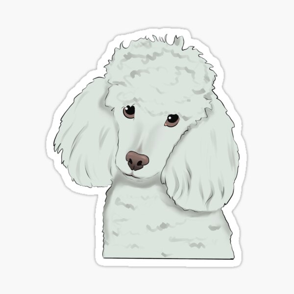 Puppy Poodle Sticker