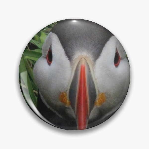 Item preview, Atlantic puffin (Fratercula arctica) designed and sold by Vidarleikur.