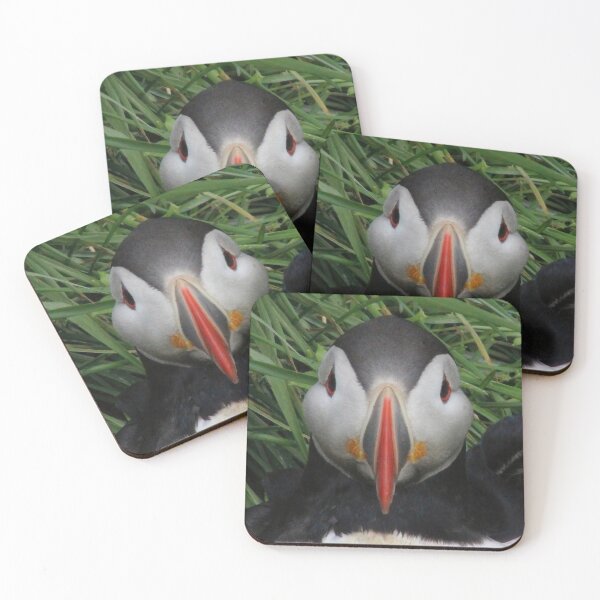 Item preview, Atlantic puffin (Fratercula arctica) designed and sold by Vidarleikur.