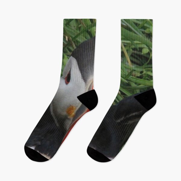 Item preview, Atlantic puffin (Fratercula arctica) designed and sold by Vidarleikur.