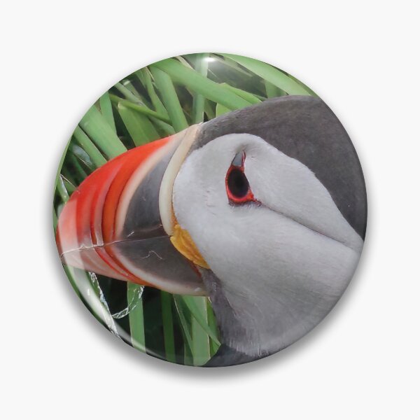 Item preview, Atlantic puffin (Fratercula arctica) designed and sold by Vidarleikur.
