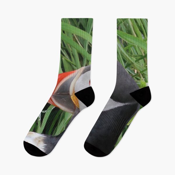 Item preview, Atlantic puffin (Fratercula arctica) designed and sold by Vidarleikur.
