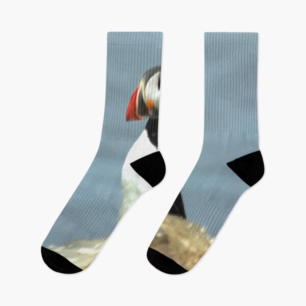 Item preview, Atlantic puffin (Fratercula arctica) designed and sold by Vidarleikur.