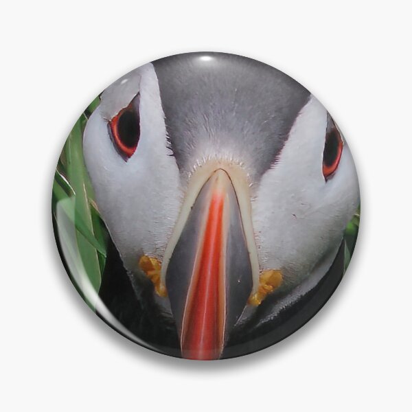 Item preview, Atlantic puffin (Fratercula arctica) designed and sold by Vidarleikur.